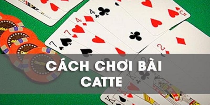 Chơi bài catte cung cấp các nội dung liên quan đến trò chơi